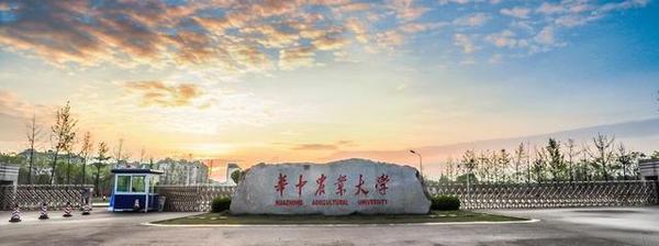 文章附图